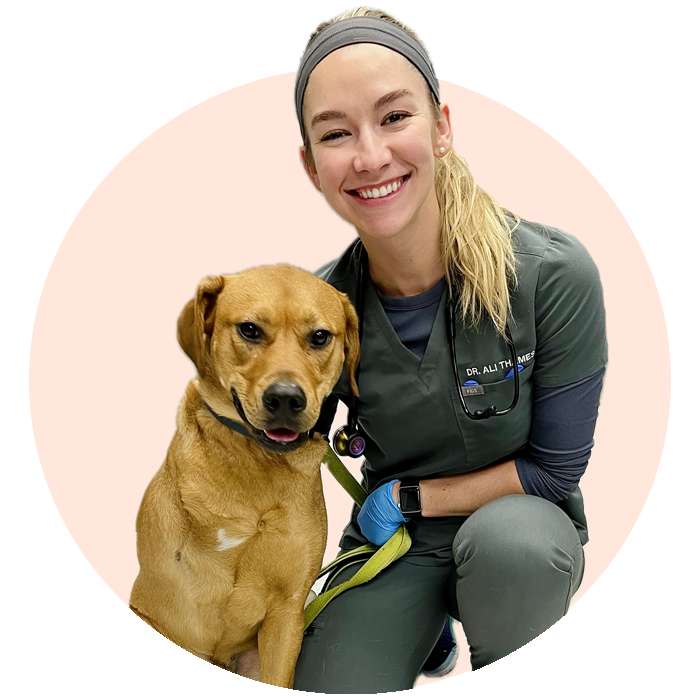 Urgent Vet Care Near Me in Tulsa