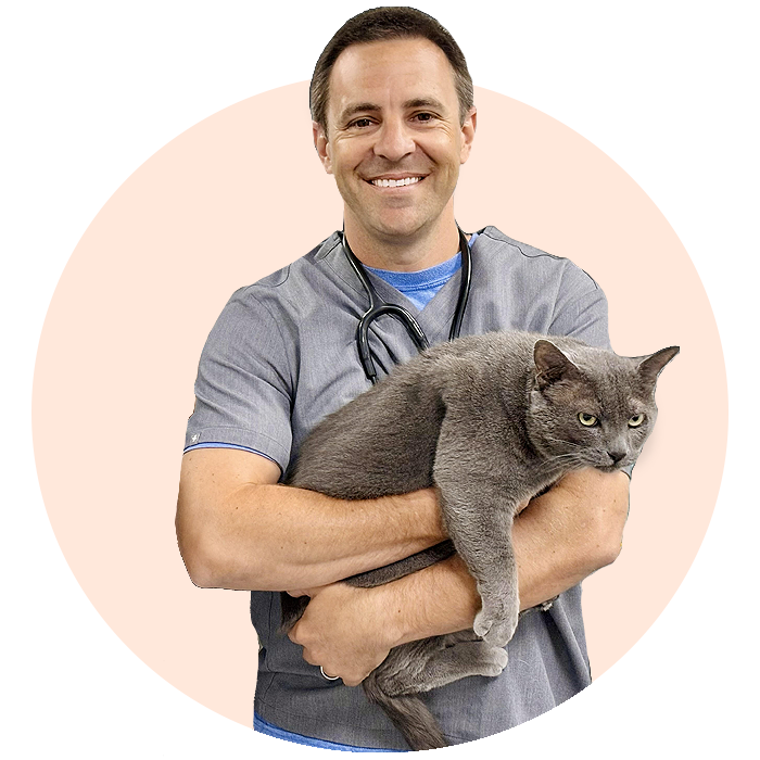 Urgent Vet for Cats Near Me in Tulsa